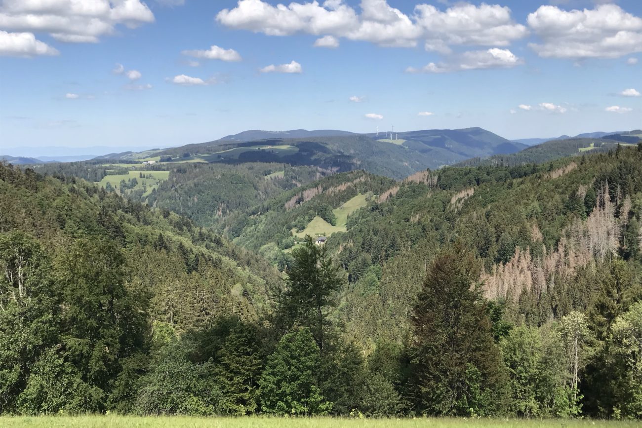 Roadtrip Schwarzwald Mit dem Wohnmobil auf Rundreise